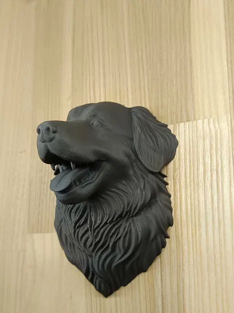Mô hình đầu chó Bernese Mountain Dog trang trí tường 3D - Image 3