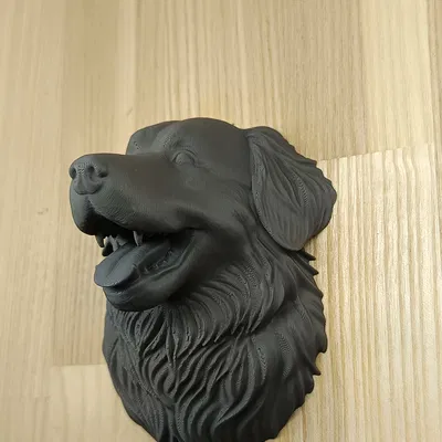 Mô hình đầu chó Bernese Mountain Dog trang trí tường 3D