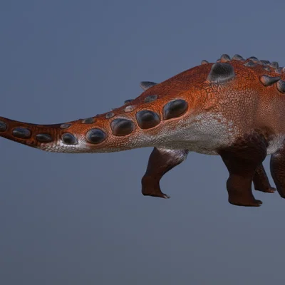 Mô hình 3D khủng long bọc giáp Europelta chi tiết