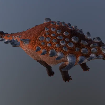 Mô hình 3D khủng long bọc giáp Europelta chi tiết