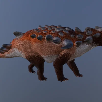 Mô hình 3D khủng long bọc giáp Europelta chi tiết