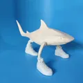 Mô hình cá mập đi giày (Tralalero Tralala) in 3D độc đáo - Thumbnail 3