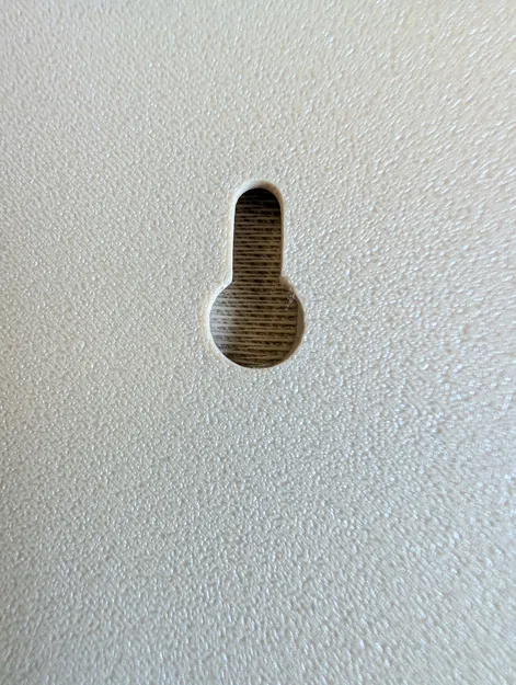 Đầu Gấu – Tác phẩm điêu khắc treo tường sẵn sàng để trang trí - Image 3