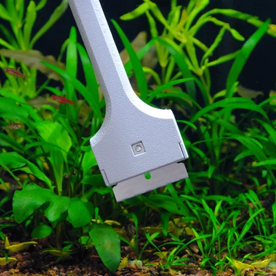 Dụng cụ cạo lưỡi dao đa năng (REV2)