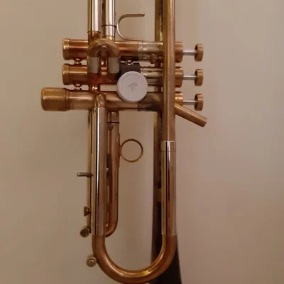 Kẹp Gắn Nút Bấm Flic 2 Cho Kèn Trumpet