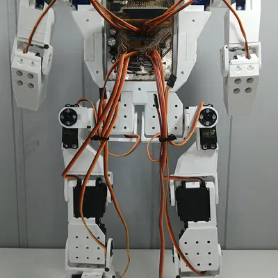 Cấu trúc Robot hình người