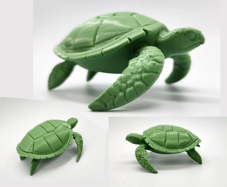 Mô hình Rùa Biển (Sea Turtle) - Image 1