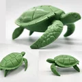 Mô hình Rùa Biển (Sea Turtle) - Thumbnail 1