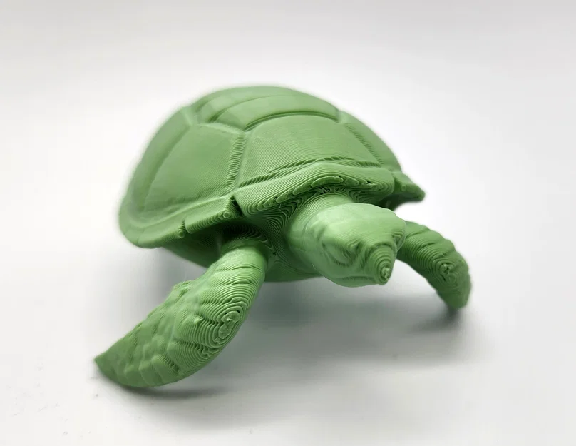 Mô hình Rùa Biển (Sea Turtle) - Image 3