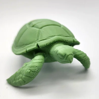 Mô hình Rùa Biển (Sea Turtle)