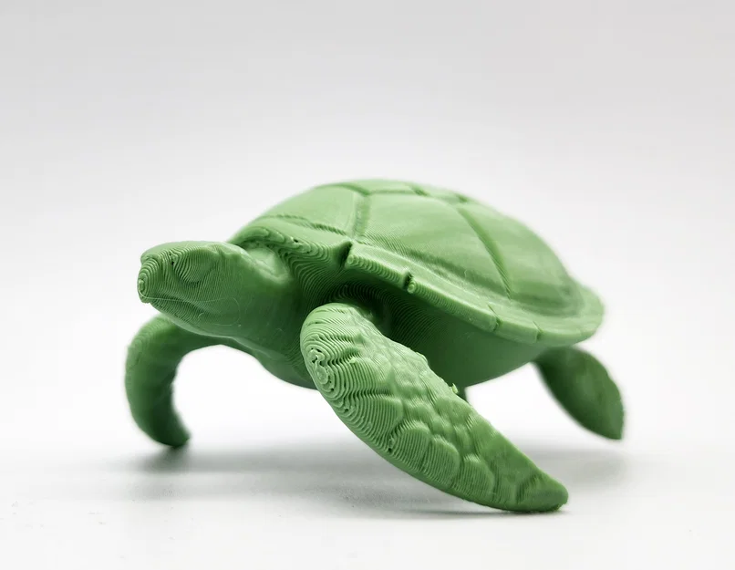 Mô hình Rùa Biển (Sea Turtle) - Image 4