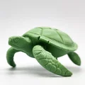 Mô hình Rùa Biển (Sea Turtle) - Thumbnail 4