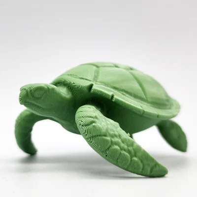 Mô hình Rùa Biển (Sea Turtle)