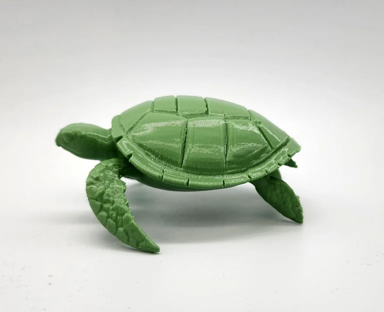 Mô hình Rùa Biển (Sea Turtle) - Image 5