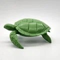 Mô hình Rùa Biển (Sea Turtle) - Thumbnail 5