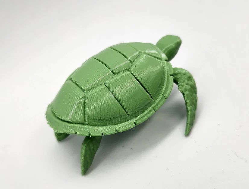 Mô hình Rùa Biển (Sea Turtle) - Image 6