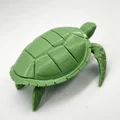 Mô hình Rùa Biển (Sea Turtle) - Thumbnail 6