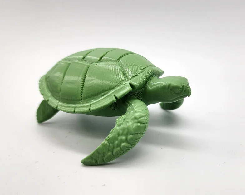 Mô hình Rùa Biển (Sea Turtle) - Image 7