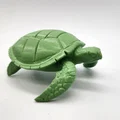 Mô hình Rùa Biển (Sea Turtle) - Thumbnail 7