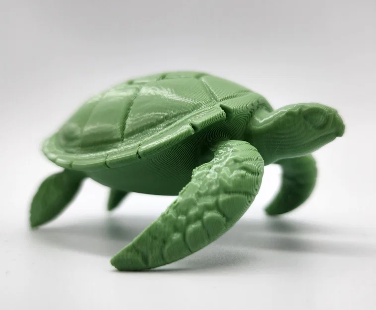 Mô hình Rùa Biển (Sea Turtle) - Image 8