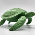 Mô hình Rùa Biển (Sea Turtle) - Thumbnail 8