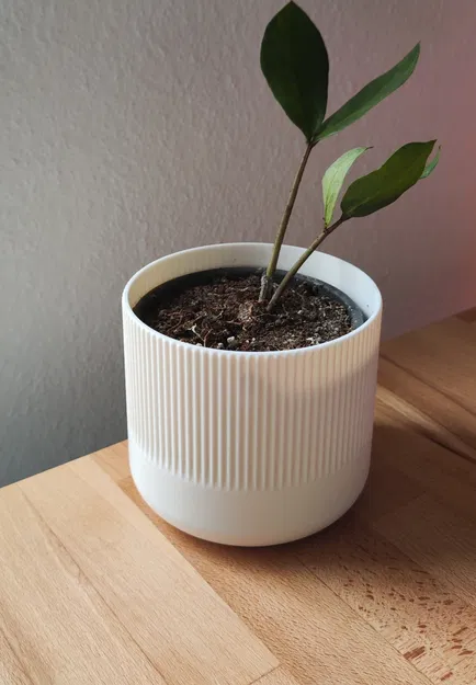 Chậu cây trang trí tối giản - File in 3D tinh tế cho không gian xanh - Image 1