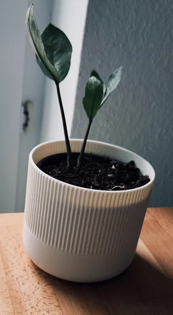 Chậu cây trang trí tối giản - File in 3D tinh tế cho không gian xanh - Image 2