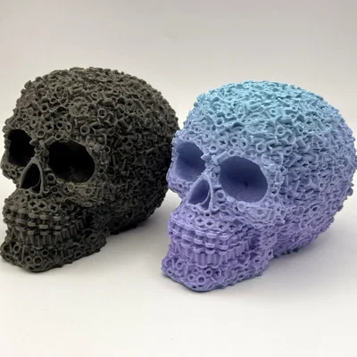 Bộ Ốc Vít Hình Đầu Lâu Cơ Khí (Mechanical Skull Bolts & Nuts)