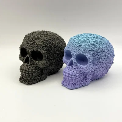 Bộ Ốc Vít Hình Đầu Lâu Cơ Khí (Mechanical Skull Bolts & Nuts)