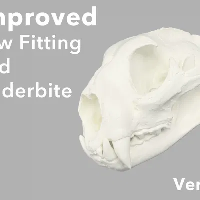 Mô hình 3D Hộp sọ Sư tử núi (Cougar, Puma Concolor)