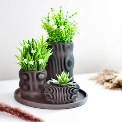 Lines: Bộ sưu tập bình hoa hiện đại