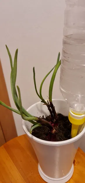 Hệ thống tự tưới cây bền bỉ cho cây cảnh - Image 4