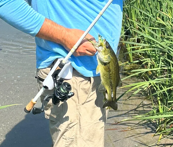 Giá Đỡ Cần Câu Modular (Modular Fishing Rod Holster) - Image 2