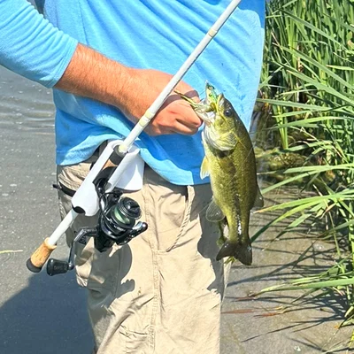 Giá Đỡ Cần Câu Modular (Modular Fishing Rod Holster)