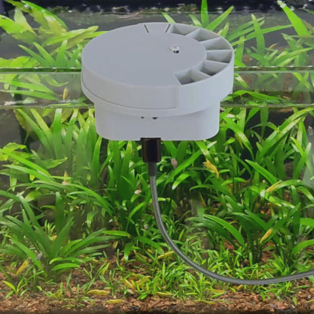 Máy cho cá ăn tự động chính xác có tích hợp WiFi - Image 5