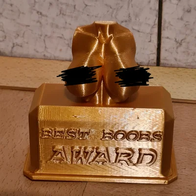 Mô hình cúp hài hước Best Boobs Award in 3D độc lạ