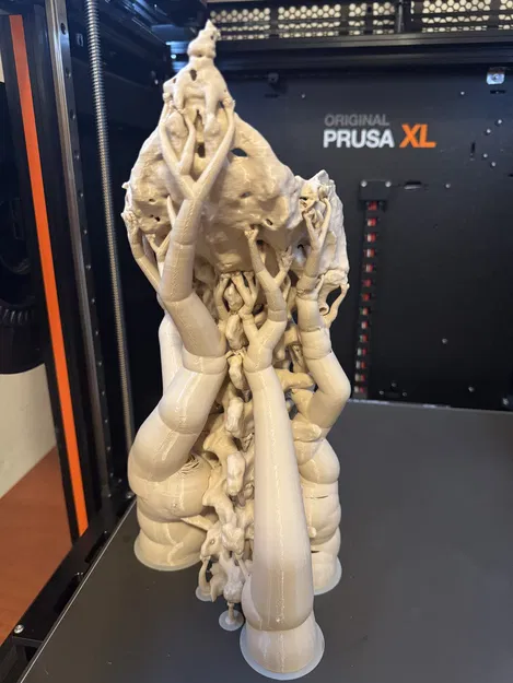 Mô hình cột sống người kèm xương cùng (Sacrum with spine) - Image 4