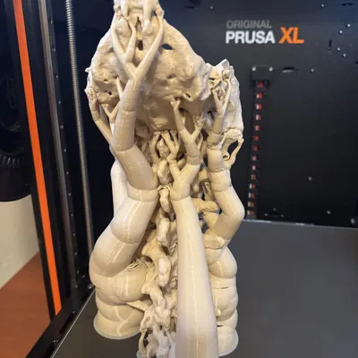 Mô hình cột sống người kèm xương cùng (Sacrum with spine)