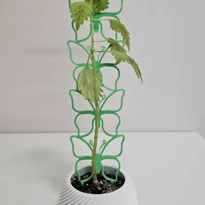 Khung đỡ cây cảnh hình bướm in 3D độc đáo cho chậu cây