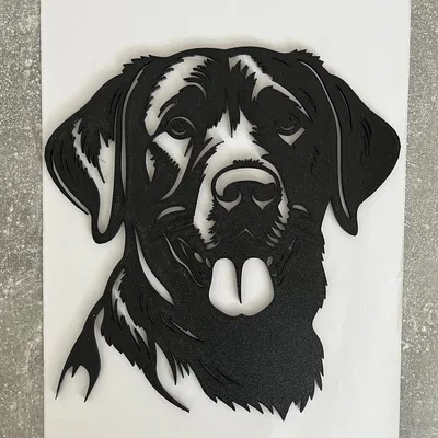 Tranh treo tường nghệ thuật hình chó Labrador in 3D trang trí