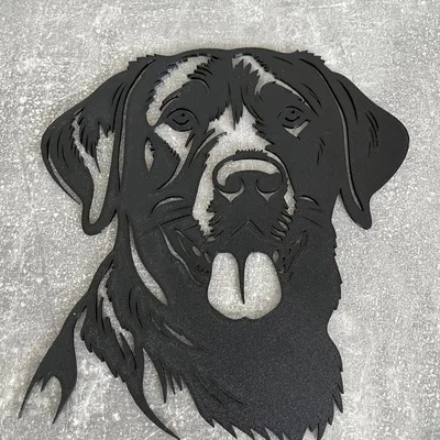 Tranh treo tường nghệ thuật hình chó Labrador in 3D trang trí