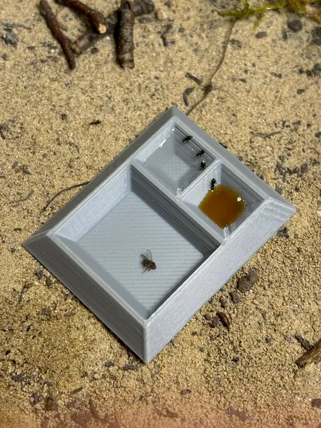 Bộ khay đựng thức ăn cho kiến (Ant Feeder) với thiết kế cạnh vát - Image 5