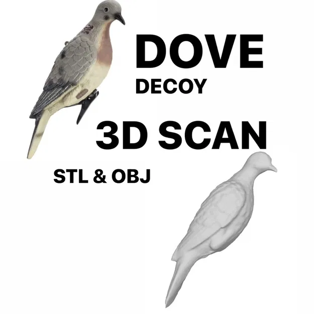 Dove Decoy - Bản Scan 3D - Image 1