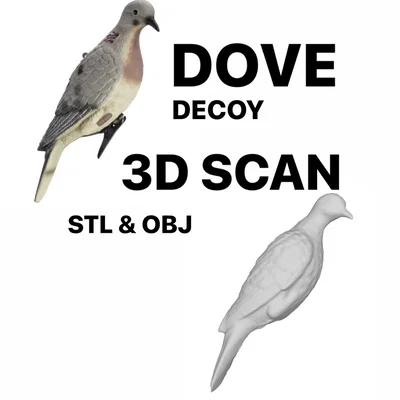 Dove Decoy - Bản Scan 3D
