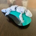 Mô hình thằn lằn Uromastyx khớp nối linh hoạt (Articulated Bumpy Uromastyx) - Thumbnail 4