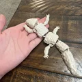 Mô hình thằn lằn Uromastyx khớp nối linh hoạt (Articulated Bumpy Uromastyx) - Thumbnail 5
