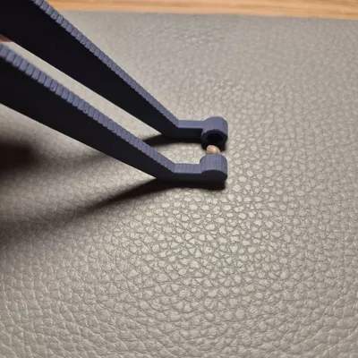 Nhíp Gắp Hạt Giống và Cây Con