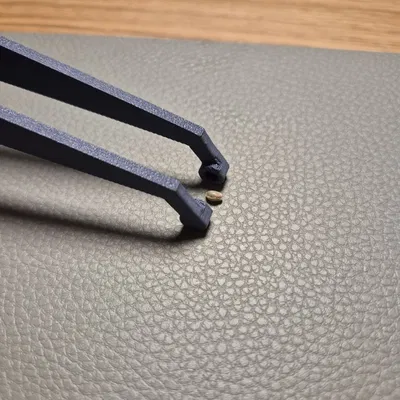 Nhíp Gắp Hạt Giống và Cây Con