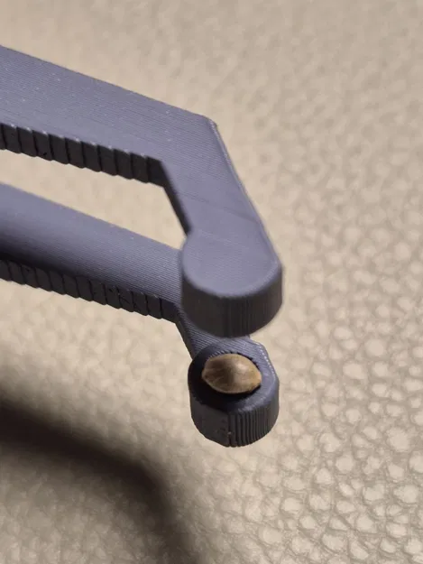 Nhíp Gắp Hạt Giống và Cây Con - Image 6