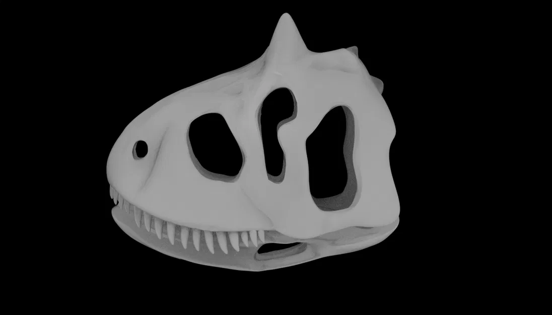 Mô hình Sọ khủng long Carnotaurus - Image 2